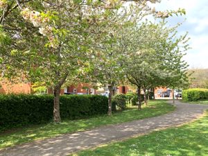 Photo 25- click for photo gallery